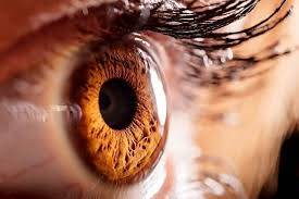 Support vision health